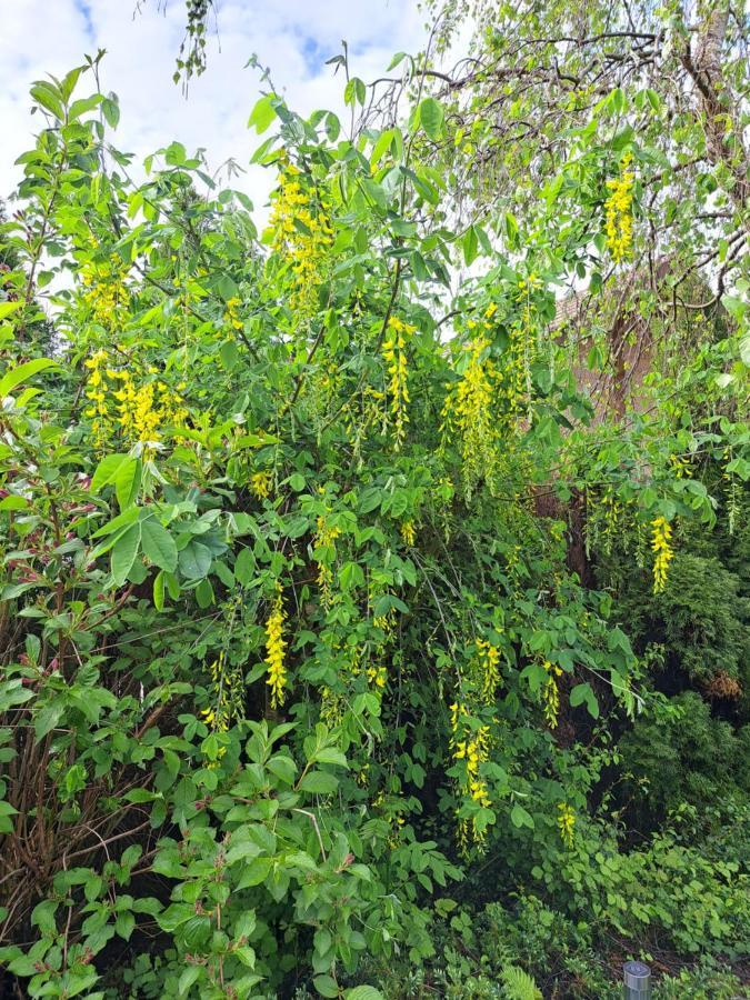 Le Refuge Du Herisson دوسير المظهر الخارجي الصورة